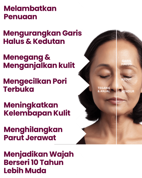 MitoCell-panjang-57.png